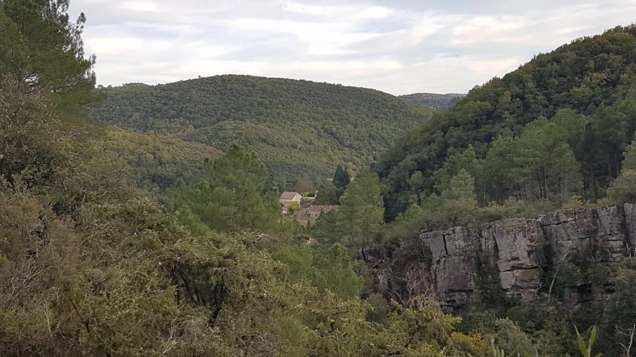 Saint Sebastien d'Aigrefeuille Le Clos Du Cedre المظهر الخارجي الصورة