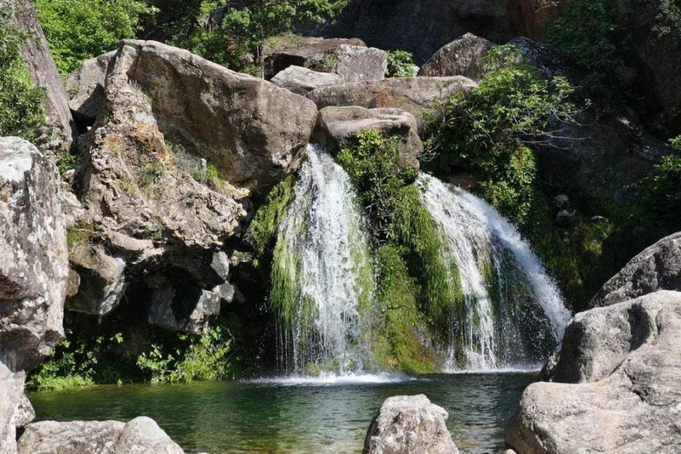 Saint Sebastien d'Aigrefeuille Le Clos Du Cedre المظهر الخارجي الصورة