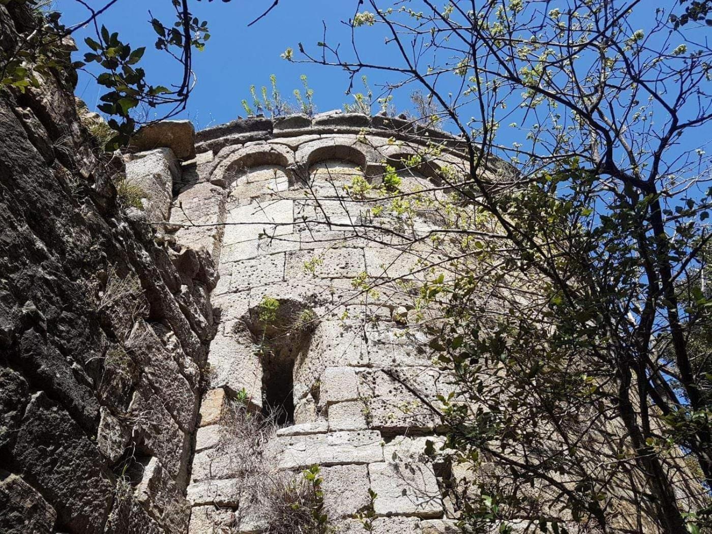 Saint Sebastien d'Aigrefeuille Le Clos Du Cedre المظهر الخارجي الصورة