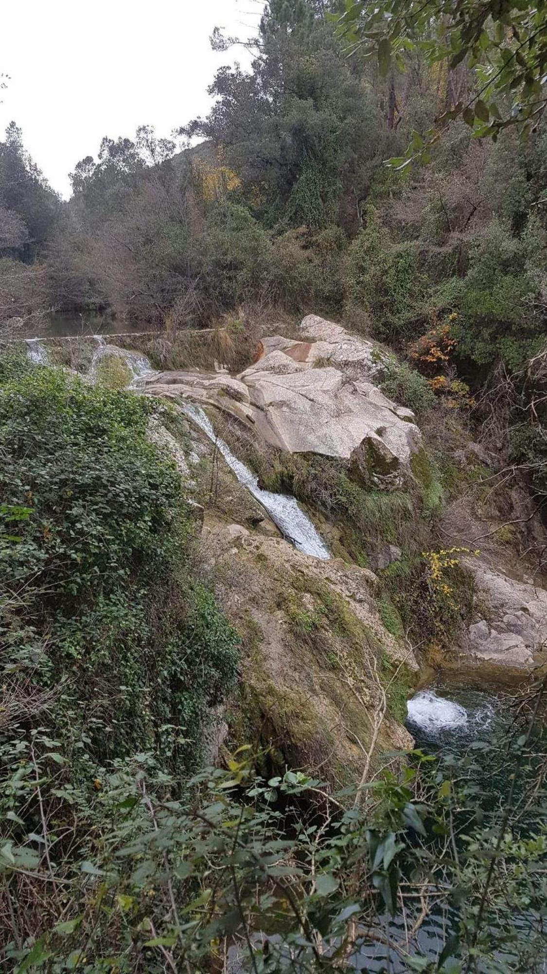 Saint Sebastien d'Aigrefeuille Le Clos Du Cedre المظهر الخارجي الصورة