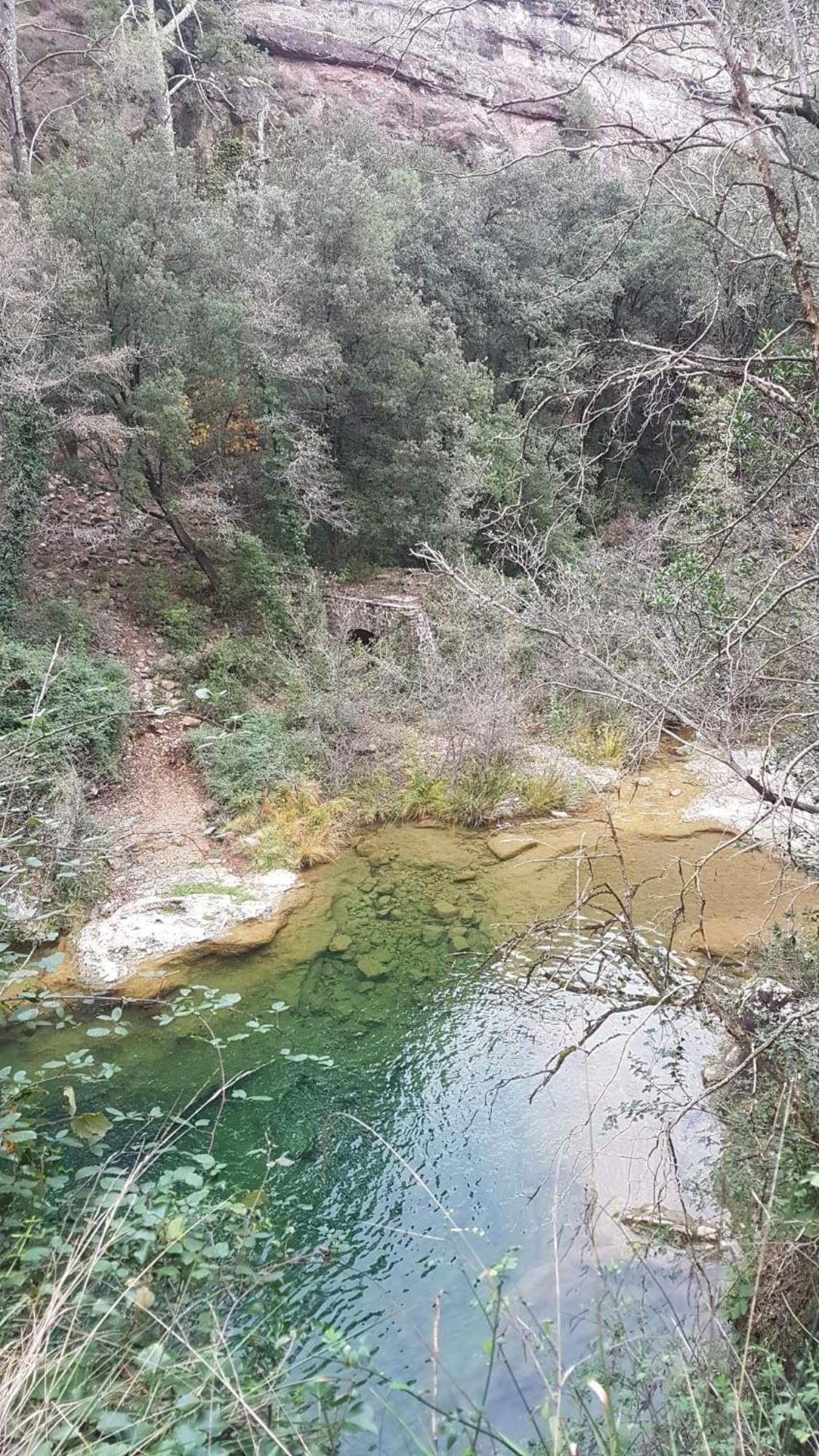 Saint Sebastien d'Aigrefeuille Le Clos Du Cedre المظهر الخارجي الصورة