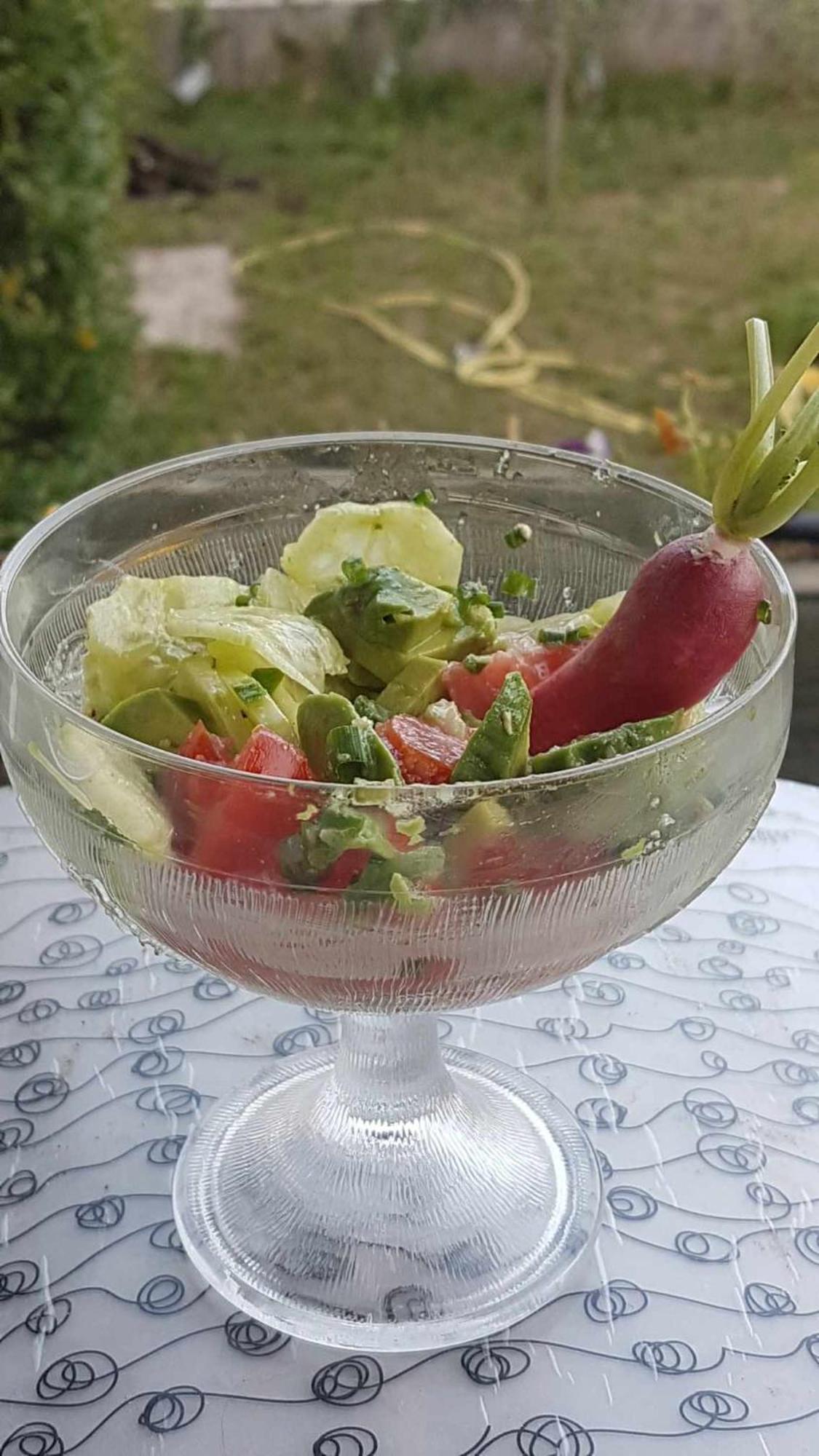 Saint Sebastien d'Aigrefeuille Le Clos Du Cedre المظهر الخارجي الصورة